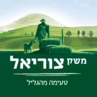 הדבקה על קירות במשרד (10)