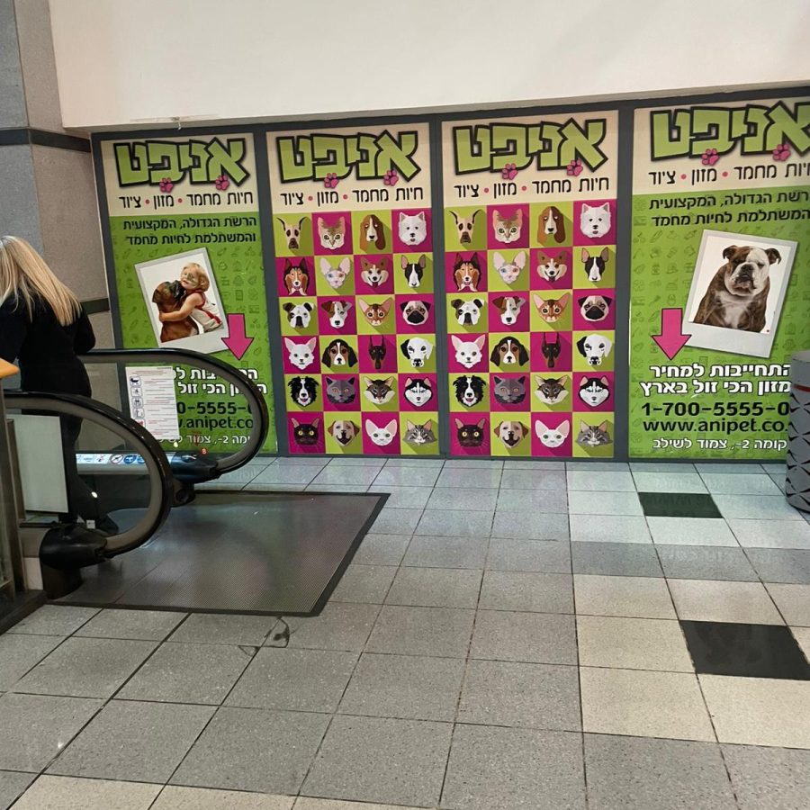 מדבקות קיר לעסקים שילוט לעסקים (12)